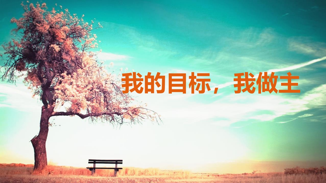 小学生主题班会课件一我的目标，我做主通用版