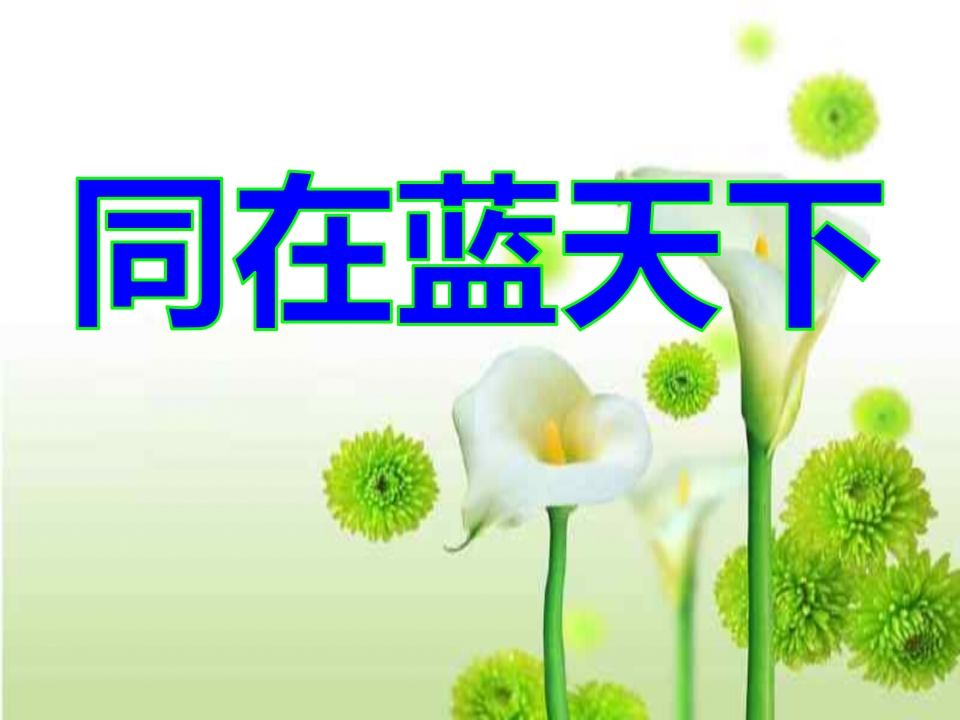 主题班会(献爱心)